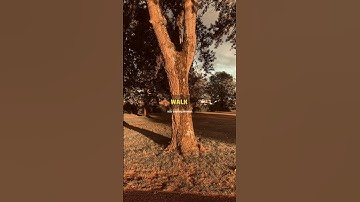 Never Give Up Motivational status 2023 | consistency is a key | #motivationalspeech #lifeadvice