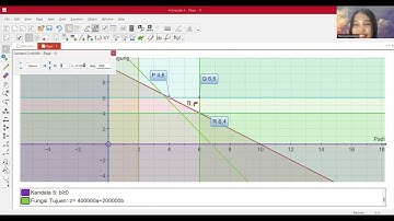 Penggunaan Aplikasi Autograph || Mata Kuliah Program Linear