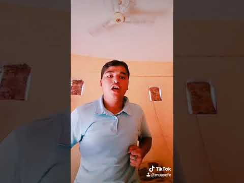 ايه يا مزه يا قطه