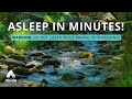 Asleep in minutes calming christian relaxing music  beautiful 4k ambient nature
