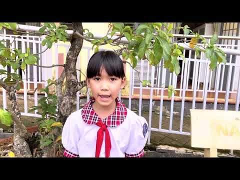 Video ĐỘI: THỎ TRẮNG - YouTube