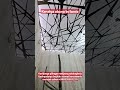 6 апреля 2023 г.