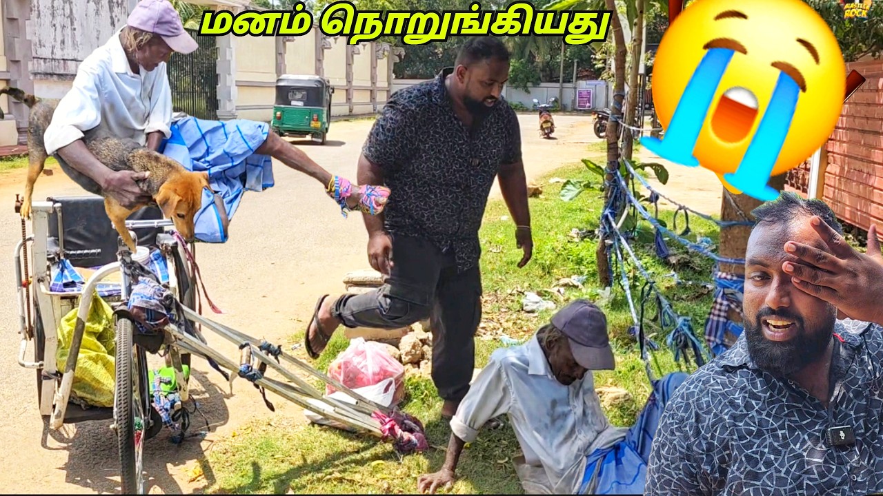 கவலையாய் போயிட்டு ஐயாவின் கதை கேட்டு!😭 Jaffna Tamil Vlogs | Alasteen Rock