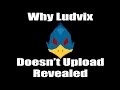 The Ludvix Interview