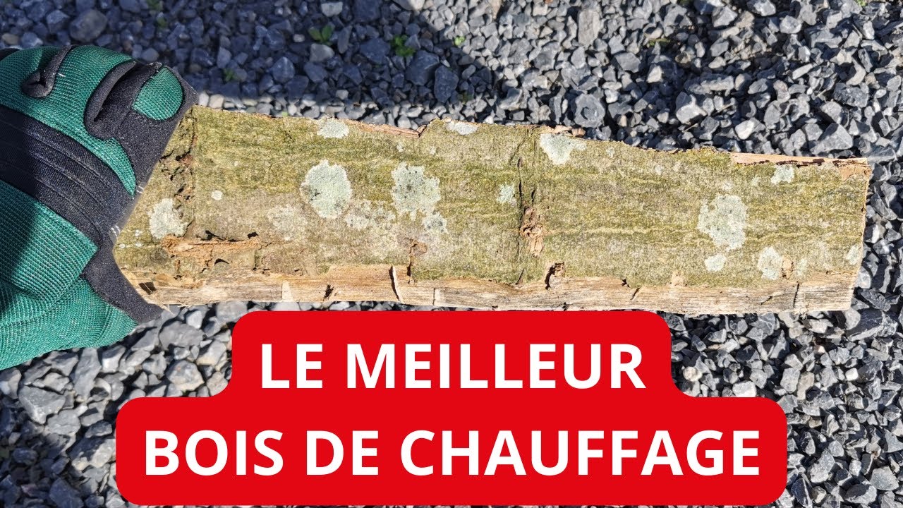 Quel est le meilleur bois de chauffage ? (Classement des essences)