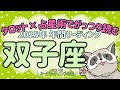 #139 ✨タロット×占星術で読む❕👀✨2025年🦝双子座の傾向✨♊12星座別🌠年間リーディング🔮あらいぐま カードリーディングの森🌲🦝