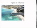 longshore drift