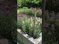 Grow like a flower farmer