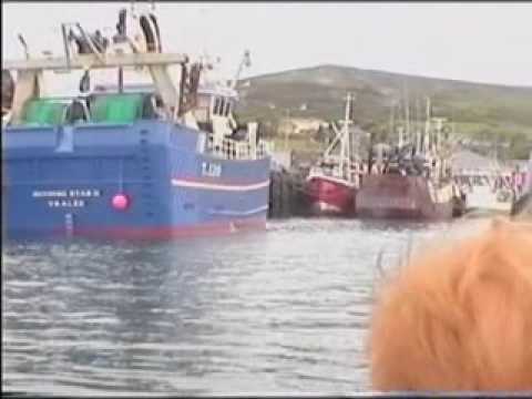 Dolphin Watching - Dingle Harbour (Music Video)