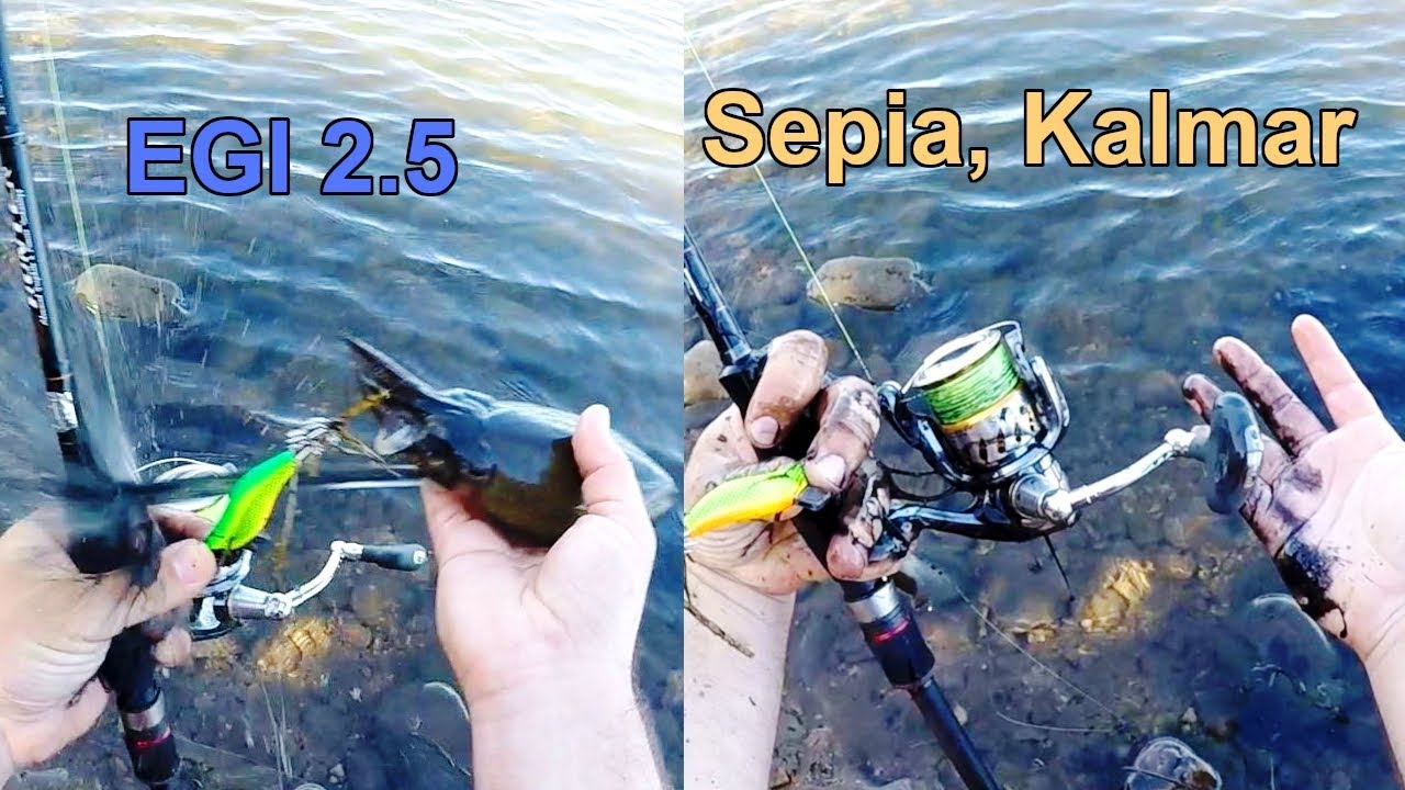 KALAMAR WOBBLER SQUID WOBBLER ZUM FANGEN VON TINTENFISCH MITTELMEER TOP KÖDER X KALAMAR WOBBLER SQUID WOBBLER ZUM FANGEN VON TINTENFISCH MITTELMEER TOP KÖDER X