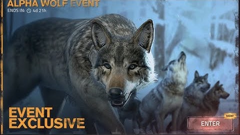 Into the dead 2 “Alpha Wolf Event” Gameplay | New Christmas Update Event