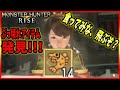 モンハンライズ】やばいwこんがり魚がぶっ壊れてたのでおすすめしたい【MHRise】
