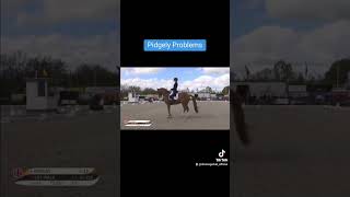 Pidgley Problems with Charlotte Dujardins Olympic Medal Horse Gio (Pumpkin)