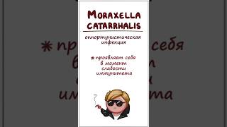 Инфекция уха и горла Moraxella Catarrhalis (симптомы, лечение) часть 2