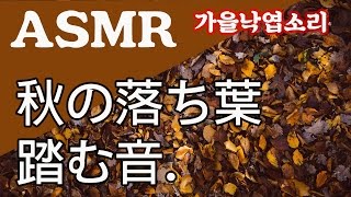 落ち葉を踏む音