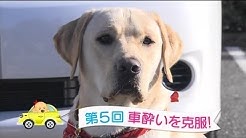 まさはる君が行く ポチたまペット大集合 Youtube