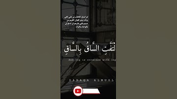حالات واتس اب تلاوة مبكية __ كلا اذا بلغت التراقي||#يوسف_الصقير