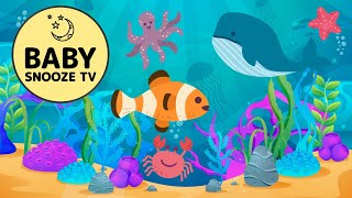 Bedtime Lullabies with Calming Underwater Fish Animation | Baby Snooze TV