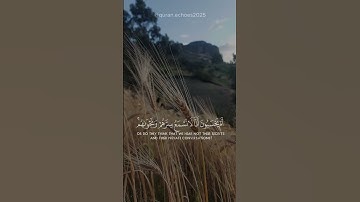 القرأن | سورة الزخرف | الشيخ د. ياسر الدوسري #viral #اكسبلور