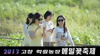 고창메밀꽃잔치 영상