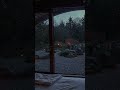 Gentle Rain & Lantern Light for Deep Relaxation ⛈️😴 #rainsounds #asmr #rain #peace #sleep