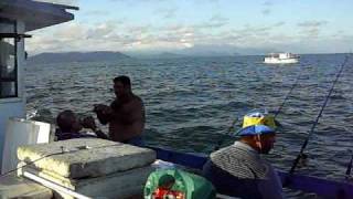 HPIM0800.AVI