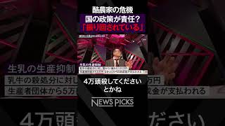 【酪農家の危機】国の政策に振り回されている　#shorts