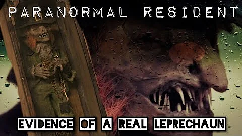 Evidence of a real Leprechaun - The story behind the Leprechaun