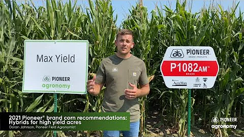2021 Pioneer brand corn recommendations: Hybrids f...