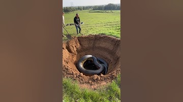 Two men accidentally discovered a giant python in their garden #animals #shorts