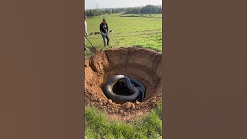 Thumbnail of Two men accidentally discovered a giant python in their garden #animals #shorts