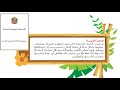 دستور الامارات 1 