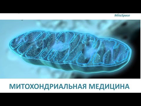 Митохондриальная медицина. Ольга Борисова.