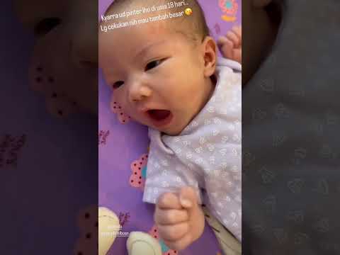 Baby Kyarra 18 Hari, Lagi Cegukan