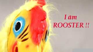 ROOSTER SONG | @PJAYmusic