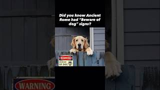 Cave Canem Pompeii #dogshorts #historyshorts #history #pompeii #romanempire #britishhistory #dogs