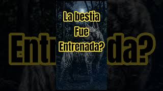 #casosreales #truecrimecommunity #historias #horror #terrorymisterio #viral #miedo #relatosbizarros