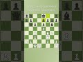 Chess Every Day43 S2 #chess #chessvibes #yourbestmove #yourmove #chessgame
