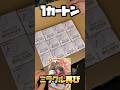 【歓喜‼︎カートンから奇跡選択】ONE PIECEカードゲーム 新時代の主役