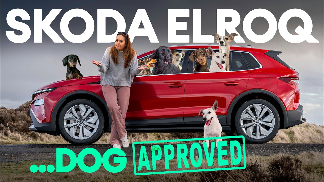 Tail-Wag Approved: Why Your Dog Would Choose an EV!