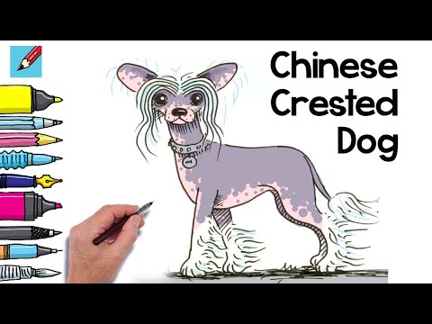 Video: Kinesisk Crested