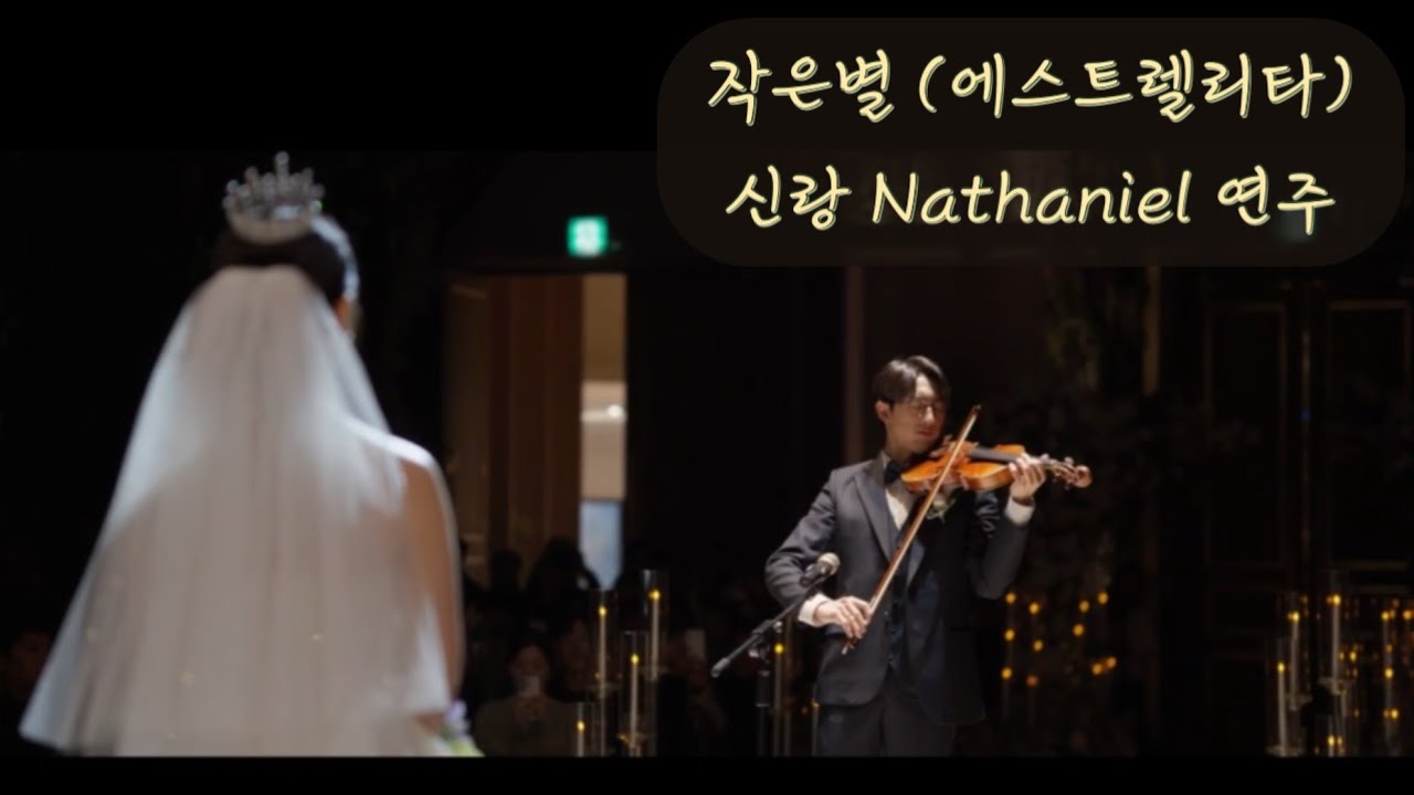 신부를 위한 신랑의 아름다운 바이올린 연주 Estrellita - Ponce/Heifetz