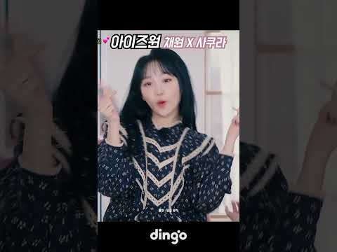 르세라핌 <strong>채원</strong> 사쿠라 아이즈원 시절 🌸 #shorts