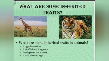 Inheritable n non inheritable characters (part 1)