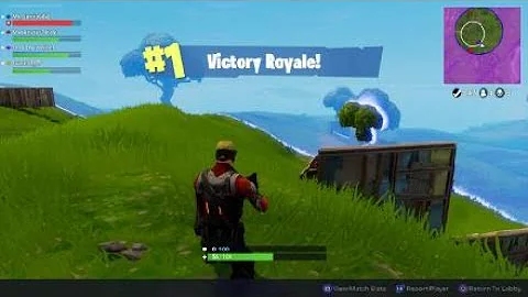 Fortnite_win