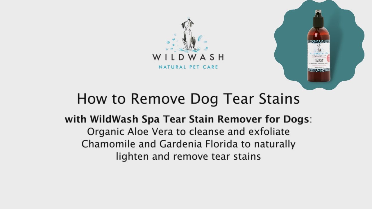 How to Remove Dog Tear Stains French Bulldog WildWash YouTube