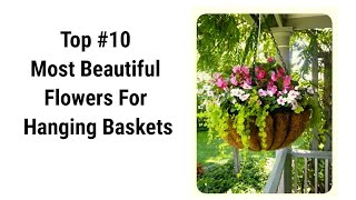 Full 10 Best Hanging Basket Flowering plants 🌱Top 10 Flowering Plants 🌱| Swaroopa Diaries News