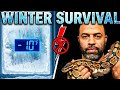 Winter Preparation For Your Snakes. Do You Have A Plan?