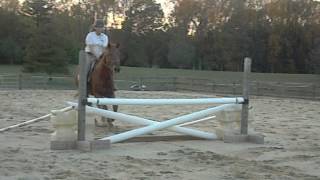 Celebrity DSCN3646 Profile