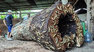 UNBELIEVABLE!! Something Terrifying Happens at 261 Seconds While Sawing a Rotten Log